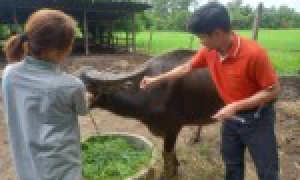 วันที่ 14 สิงหาคม 2568 นายกวีไชย มูลทรา ปศุสัตว์อำเภอเมืองอุดรธานี รักษาราชการแทน ปศุสัตว์อำเภอประจักษ์ศิลปาคม มอบหมายให้ นายธนากร ประสมศรี ตำแหน่ง นักวิชาการสัตวบาลปฏิบัติการ พร้อมด้วยนายพัฒนพงศ์ กุโรรัตน์ พนักงานเจ้าเหมาด้านการเฝ้าระวัง ควบคุมและป้องกัน